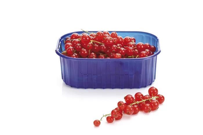 Gerahmter Druck : Rote Johannisbeeren in einem Plastikbox. Gerahmter Druck : Rote Johannisbeeren in einem Plastikbox.