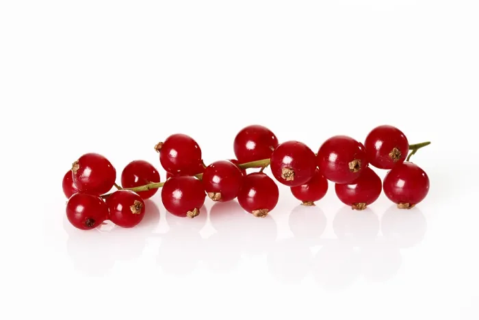 Gerahmter Druck : Rote Johannisbeeren (Ribes) Gerahmter Druck : Rote Johannisbeeren (Ribes)
