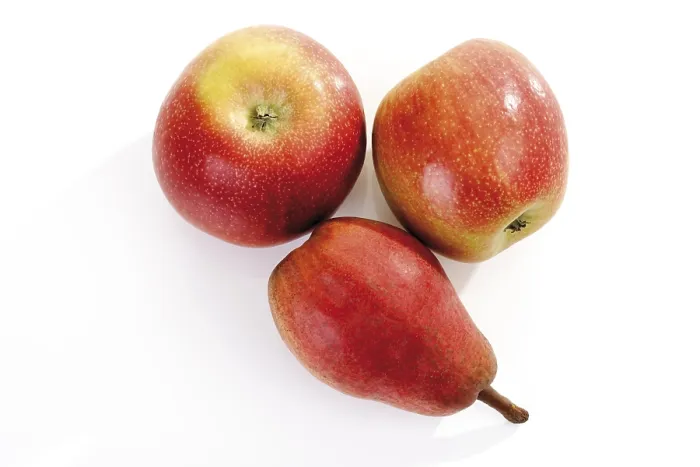 Gerahmter Druck : Früchte: Äpfel und Birne Gerahmter Druck : Früchte: Äpfel und Birne