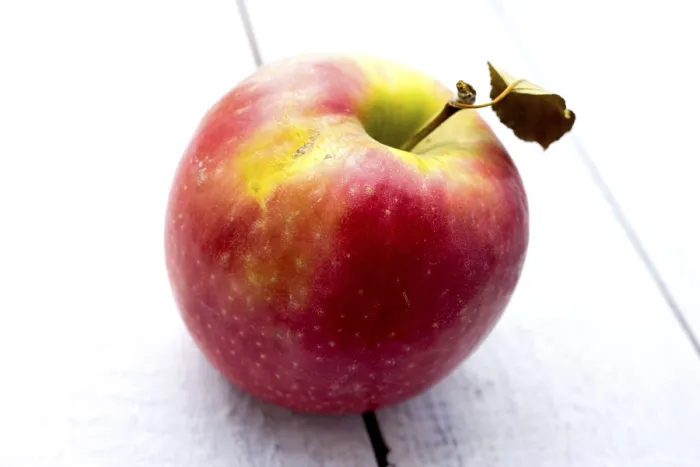 Gerahmter Druck : Apfel der Roten Gala Gerahmter Druck : Apfel der Roten Gala