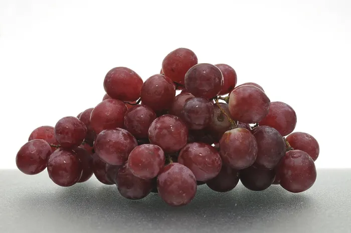 Gerahmter Druck : Rote Trauben. Gerahmter Druck : Rote Trauben.