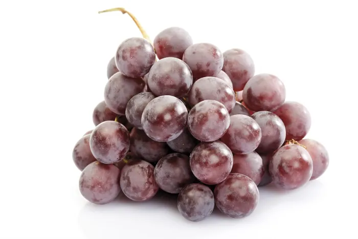 Gerahmter Druck : rote Trauben Gerahmter Druck : rote Trauben