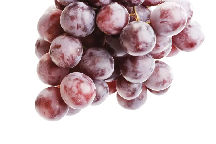 Gerahmter Druck : Rote Trauben. Gerahmter Druck : Rote Trauben.