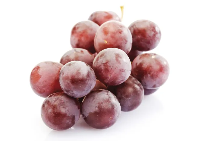 Gerahmter Druck : rote Trauben Gerahmter Druck : rote Trauben