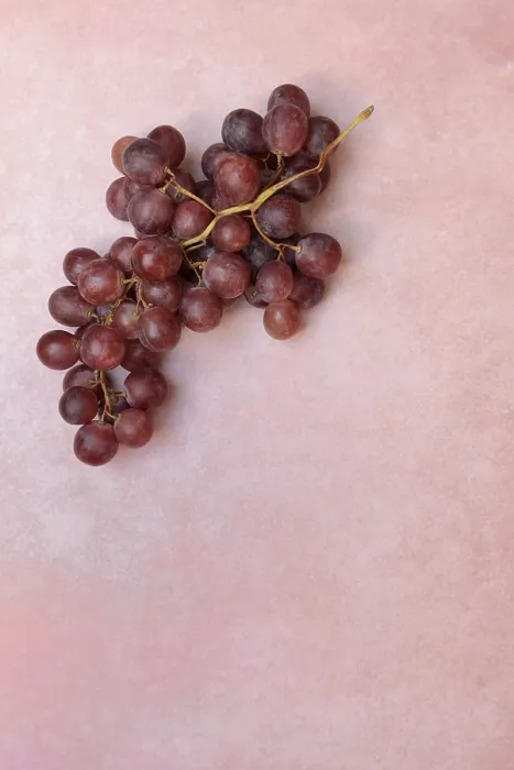 Gerahmter Druck : Rote Trauben auf einem rosa Hintergrund. Gerahmter Druck : Rote Trauben auf einem rosa Hintergrund.