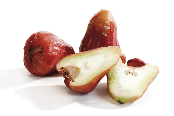 Gerahmter Druck : Rote Java-Äpfel Gerahmter Druck : Rote Java-Äpfel