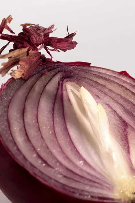 Gerahmter Druck : Rote Zwiebel halbiert. Gerahmter Druck : Rote Zwiebel halbiert.