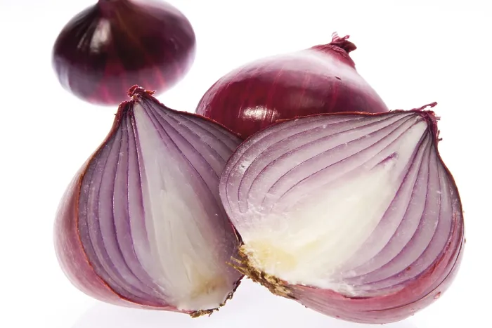 Gerahmter Druck : Rote Zwiebeln Gerahmter Druck : Rote Zwiebeln
