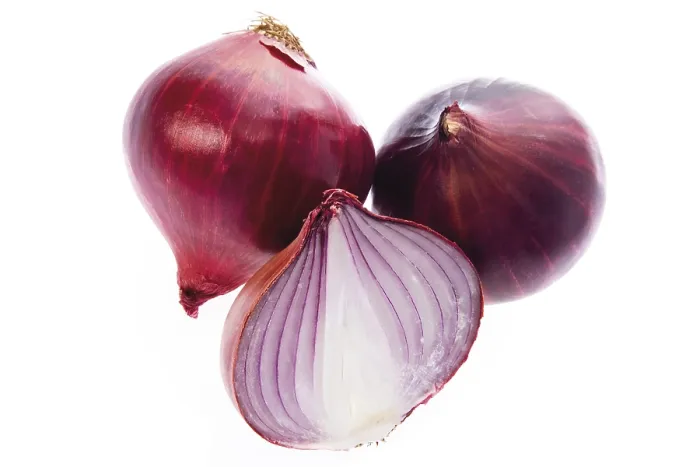 Gerahmter Druck : Rote Zwiebeln Gerahmter Druck : Rote Zwiebeln