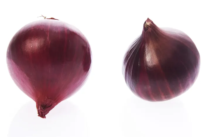 Gerahmter Druck : Rote Zwiebeln Gerahmter Druck : Rote Zwiebeln
