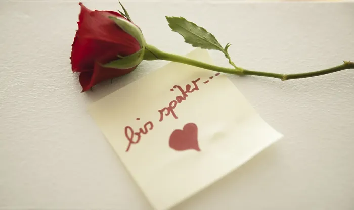Gerahmter Druck : Rote Rose mit der Notiz bis später. Gerahmter Druck : Rote Rose mit der Notiz bis später.