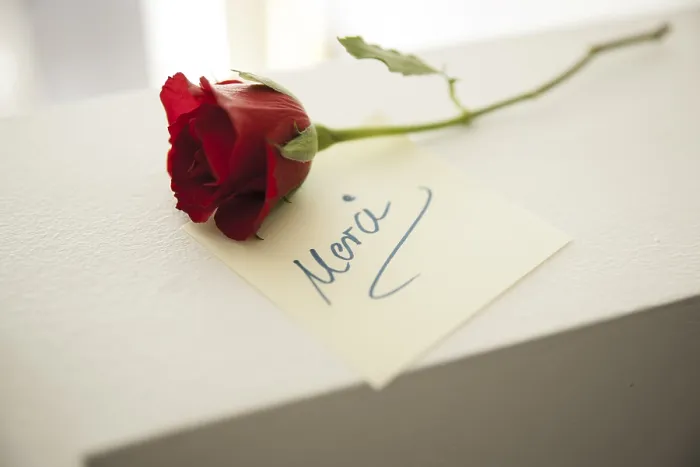 Gerahmter Druck : Rote Rose mit einer Notiz Merci