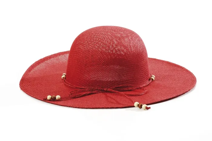 Gerahmter Druck : Roter Sonnenhut Gerahmter Druck : Roter Sonnenhut