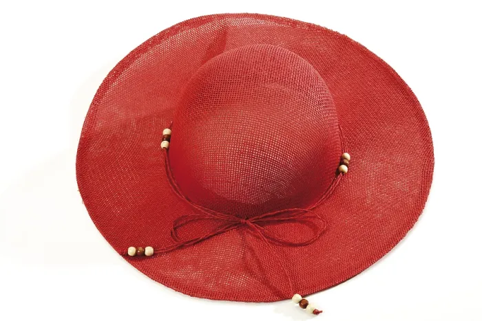 Gerahmter Druck : Roter Sonnenhut von oben. Gerahmter Druck : Roter Sonnenhut von oben.