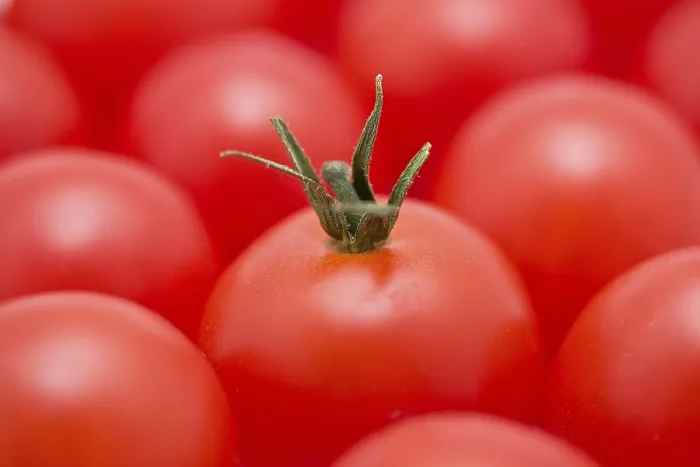 Gerahmter Druck : Rote Tomaten im Hintergrund. Gerahmter Druck : Rote Tomaten im Hintergrund.