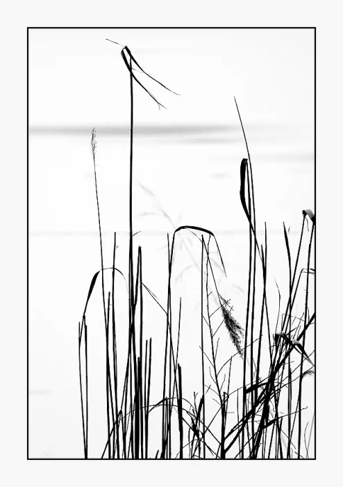 Gerahmter Druck : Am See gelesen. Gerahmter Druck : Am See gelesen.