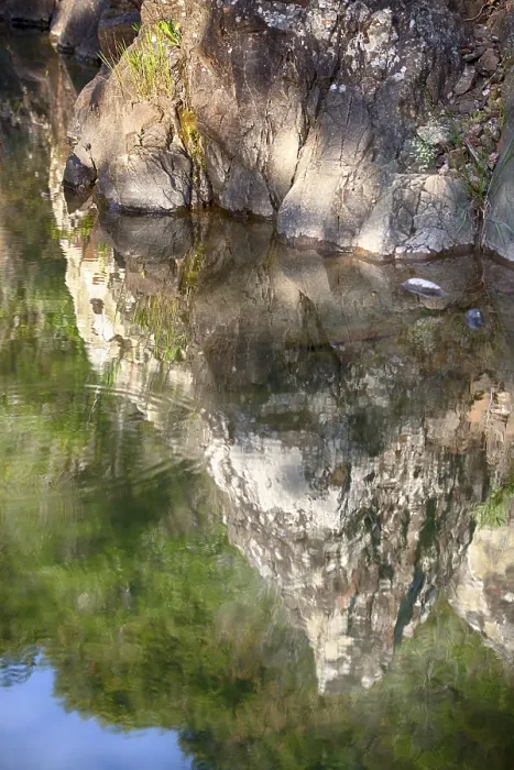 Gerahmter Druck : Spiegelung in einem See im Esterel. Gerahmter Druck : Spiegelung in einem See im Esterel.