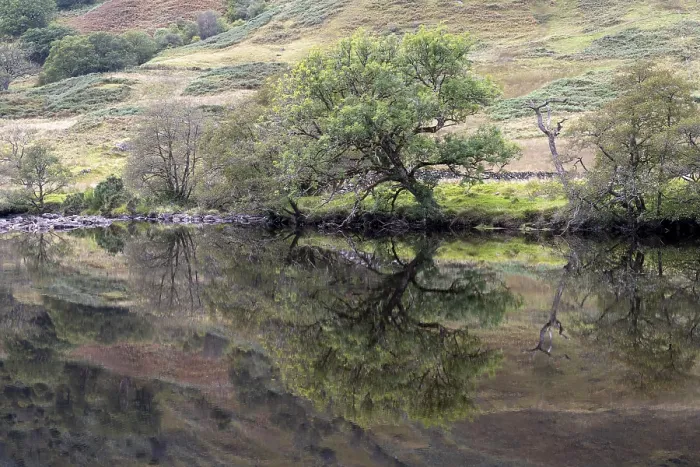 Gerahmter Druck : Reflexion am River Orchy, Tal von Glen Coe Gerahmter Druck : Reflexion am River Orchy, Tal von Glen Coe