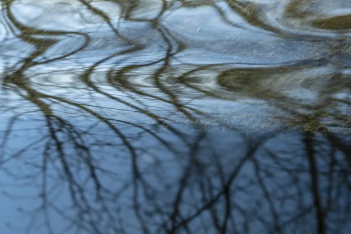Gerahmter Druck : Spiegelung in einem Bach, Ostersund Gerahmter Druck : Spiegelung in einem Bach, Ostersund