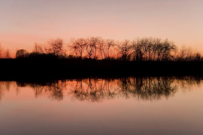 Gerahmter Druck : Spiegelung von Bäumen in einem Teich, gegen ein abendliches Himmel. Gerahmter Druck : Spiegelung von Bäumen in einem Teich, gegen ein abendliches Himmel.