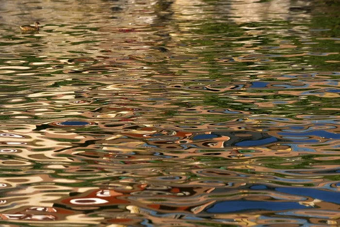 Gerahmter Druck : Spiegelung auf der Wasseroberfläche. Gerahmter Druck : Spiegelung auf der Wasseroberfläche.