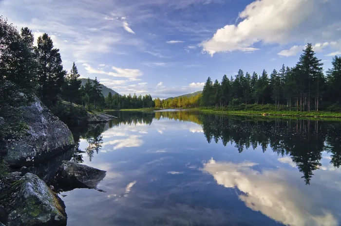 Gerahmter Druck : Spiegelungen in einem Waldsee, Telemark Gerahmter Druck : Spiegelungen in einem Waldsee, Telemark
