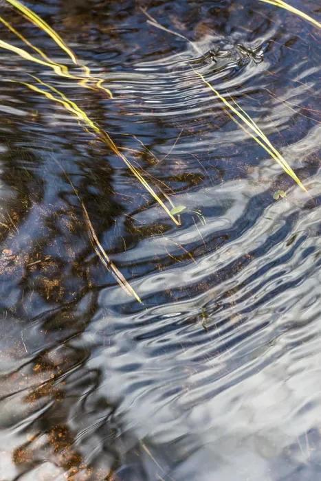 Gerahmter Druck : Spiegelungen in einem Bach, Gällivare Gerahmter Druck : Spiegelungen in einem Bach, Gällivare