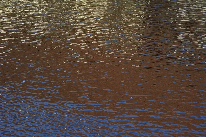 Gerahmter Druck : Spiegelungen auf einer Wasserfläche. Gerahmter Druck : Spiegelungen auf einer Wasserfläche.