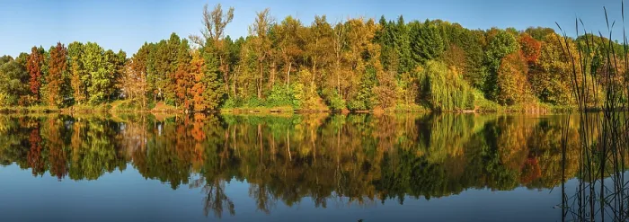 Gerahmter Druck : Reflexion Gerahmter Druck : Reflexion