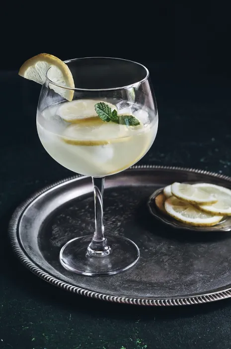 Gerahmter Druck : Ein erfrischender Gin Tonic mit Eis. Gerahmter Druck : Ein erfrischender Gin Tonic mit Eis.