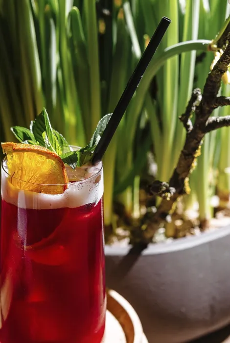 Gerahmter Druck : Erfrischender roter Cocktail mit Eis. Gerahmter Druck : Erfrischender roter Cocktail mit Eis.