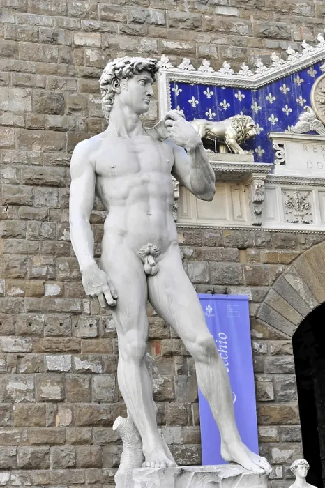 Gerahmter Druck : Renaissance-Statue des David, Michelangelo Buonarroti. Gerahmter Druck : Renaissance-Statue des David, Michelangelo Buonarroti.