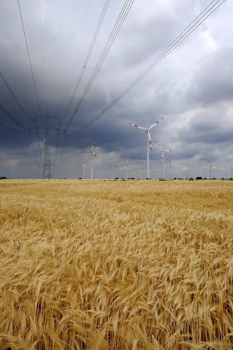 Gerahmter Druck : Erneuerbare Energie, Wind. Gerahmter Druck : Erneuerbare Energie, Wind.