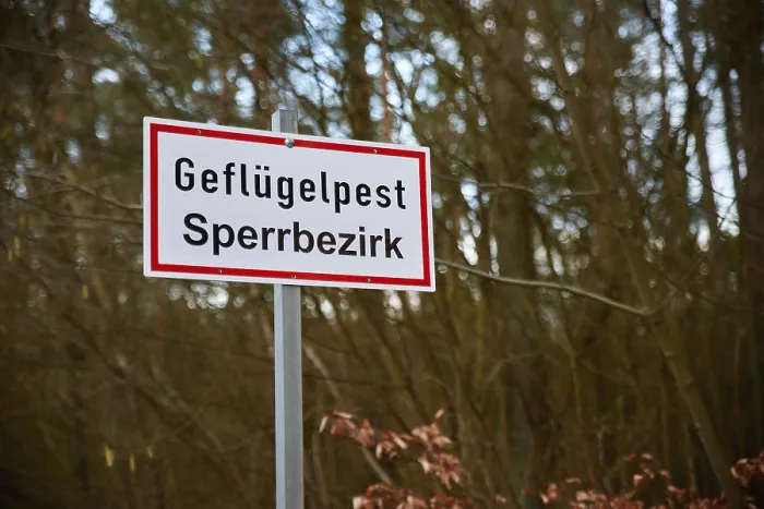 Gerahmter Druck : Gesperrter Bereich bei Vogelgrippe.