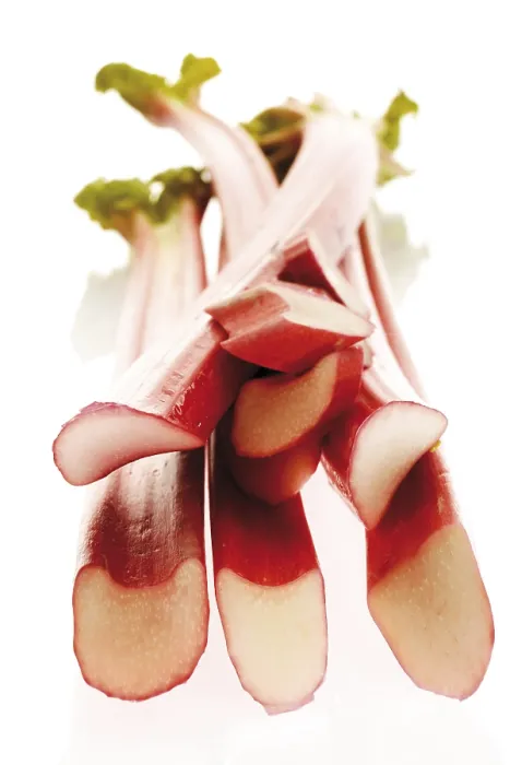 Gerahmter Druck : Rhubarb Gerahmter Druck : Rhubarb