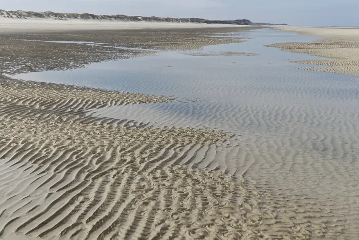 Gerahmter Druck : Ribbeckenstruktur am Strand, Langeoog. Gerahmter Druck : Ribbeckenstruktur am Strand, Langeoog.