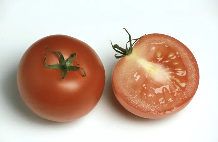 Gerahmter Druck : Reife Tomaten Gerahmter Druck : Reife Tomaten