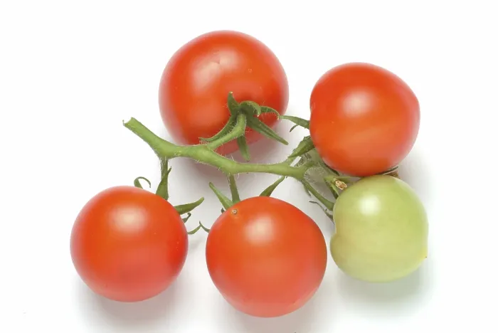 Gerahmter Druck : Reife Tomaten. Gerahmter Druck : Reife Tomaten.