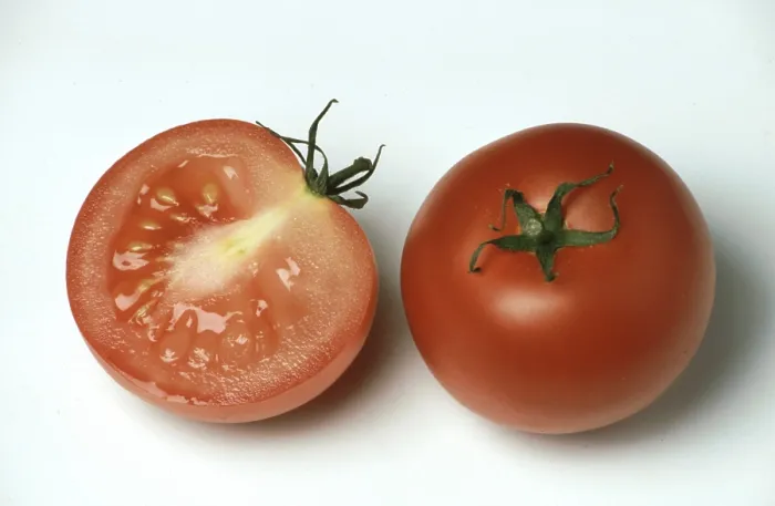 Gerahmter Druck : Reife Tomaten Gerahmter Druck : Reife Tomaten