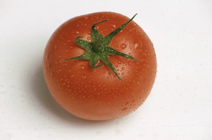 Gerahmter Druck : Reife Tomaten. Gerahmter Druck : Reife Tomaten.