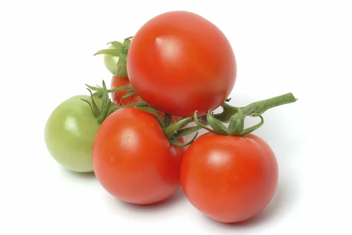 Gerahmter Druck : Reife Tomaten. Gerahmter Druck : Reife Tomaten.