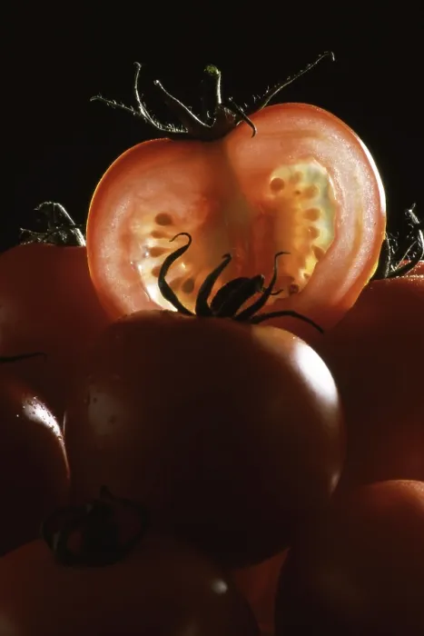 Gerahmter Druck : Reife Tomaten Gerahmter Druck : Reife Tomaten