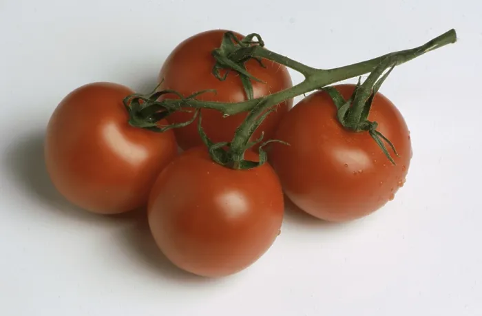 Gerahmter Druck : Reife Tomaten. Gerahmter Druck : Reife Tomaten.