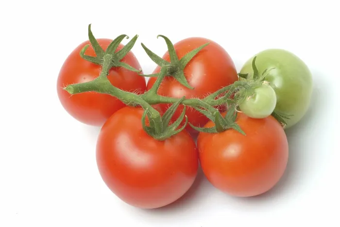 Gerahmter Druck : Reife Tomaten. Gerahmter Druck : Reife Tomaten.