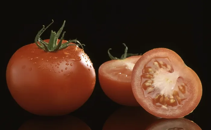 Gerahmter Druck : Reife Tomaten Gerahmter Druck : Reife Tomaten