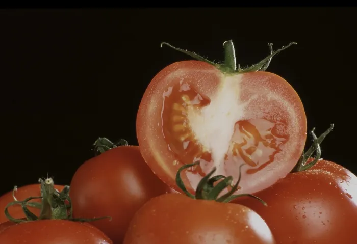 Gerahmter Druck : Reife Tomaten Gerahmter Druck : Reife Tomaten