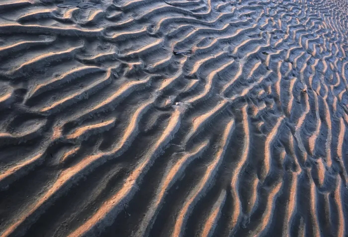 Gerahmter Druck : Wellenmuster im Matschfluss, Westerhever. Gerahmter Druck : Wellenmuster im Matschfluss, Westerhever.
