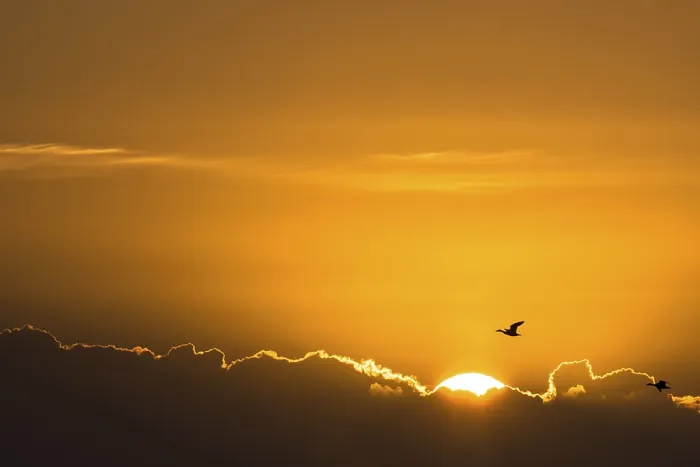 Gerahmter Druck : Aufgehender Sonne hinter einem dunklen Wolken. Gerahmter Druck : Aufgehender Sonne hinter einem dunklen Wolken.
