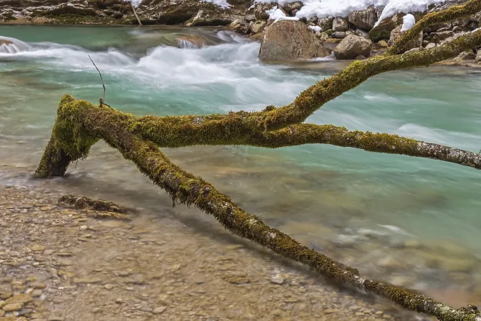 Gerahmter Druck : Am Rissbach im Winter.