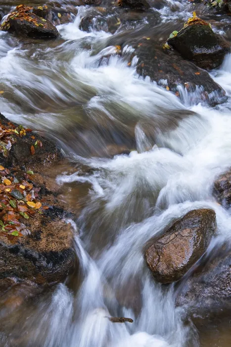 Gerahmter Druck : Der Bode im herbstlichen Harz. Gerahmter Druck : Der Bode im herbstlichen Harz.